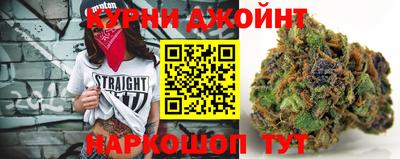 скорость Гатчина
