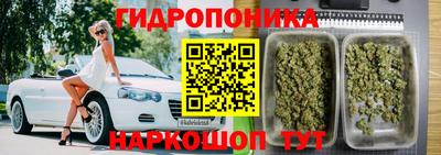 дурь Гагарин