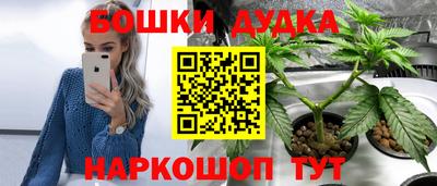 apvp Гай